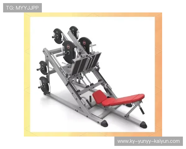 练肌肉的健身器材:推荐有效的肌肉锻炼器材 练肌肉的健身器材:推荐有效的肌肉锻炼器材