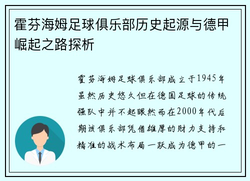 霍芬海姆足球俱乐部历史起源与德甲崛起之路探析