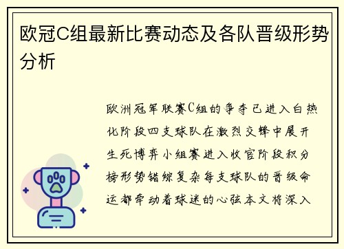欧冠C组最新比赛动态及各队晋级形势分析